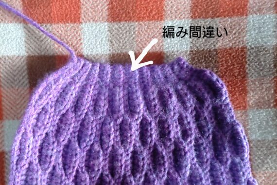 この程度なら目立たんだろ〜、と思って少し編み進め…やっぱり気になるので中断することに決定。この辺の判断を素早く下せるようになりたいものですなぁ🥹